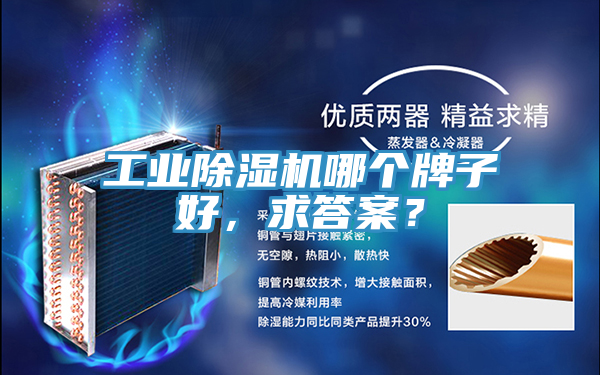 工業除濕機哪個牌子好，求答案？