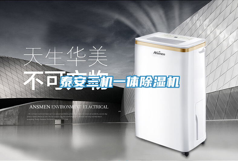 泰安三機一體除濕機