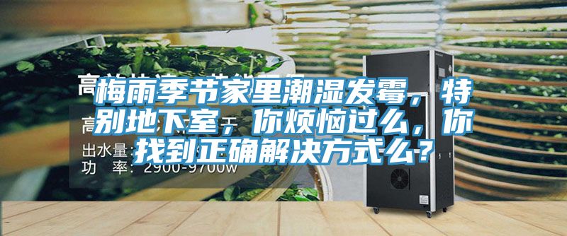 梅雨季節家里潮濕發霉，特別地下室，你煩惱過么，你找到正確解決方式么？