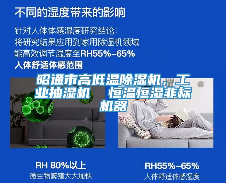 昭通市高低溫除濕機(jī)，工業(yè)抽濕機(jī)  恒溫恒濕非標(biāo)機(jī)器
