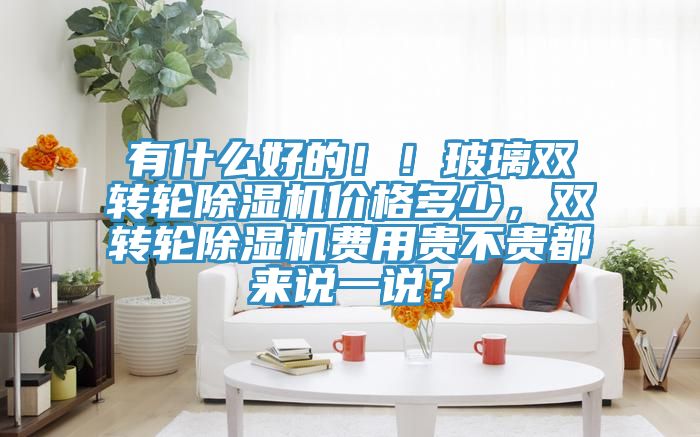 有什么好的！！玻璃雙轉(zhuǎn)輪除濕機(jī)價(jià)格多少，雙轉(zhuǎn)輪除濕機(jī)費(fèi)用貴不貴都來(lái)說(shuō)一說(shuō)？