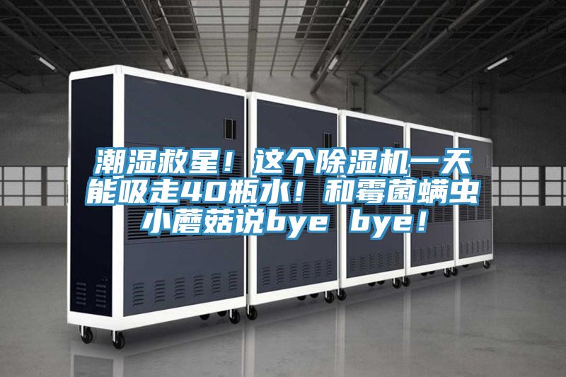 潮濕救星！這個除濕機一天能吸走40瓶水！和霉菌螨蟲小蘑菇說bye bye！