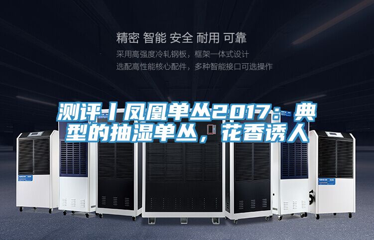 測評丨鳳凰單叢2017：典型的抽濕單叢，花香誘人