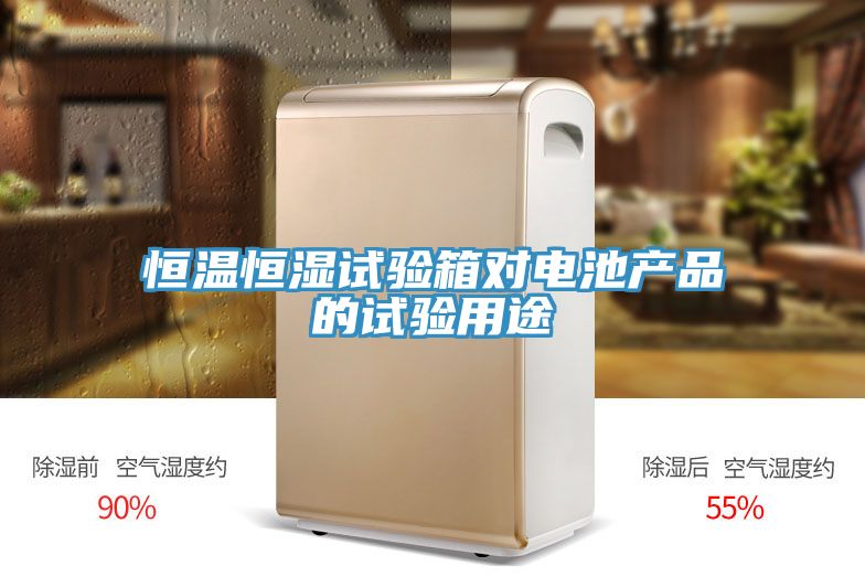 恒溫恒濕試驗箱對電池產品的試驗用途