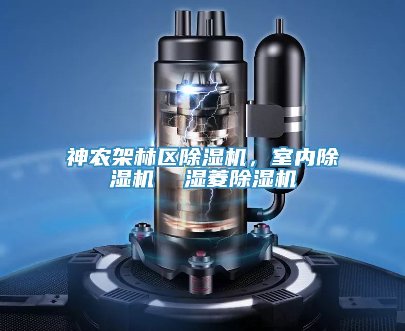 神農(nóng)架林區(qū)除濕機(jī)，室內(nèi)除濕機(jī)  濕菱除濕機(jī)