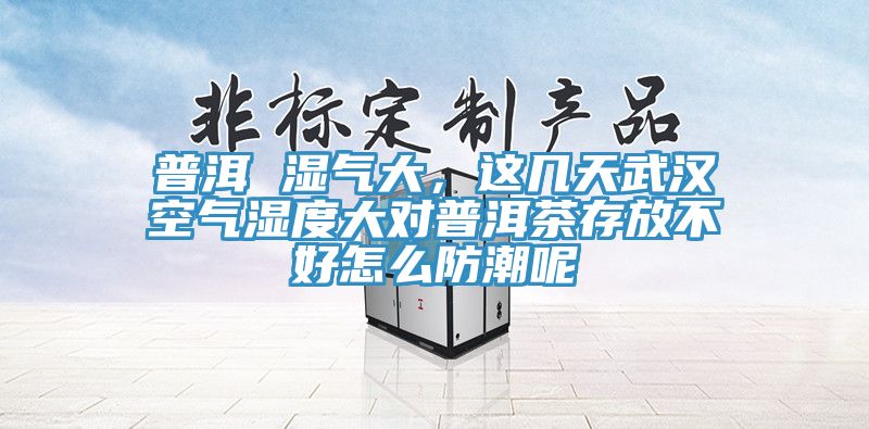 普洱 濕氣大，這幾天武漢空氣濕度大對(duì)普洱茶存放不好怎么防潮呢