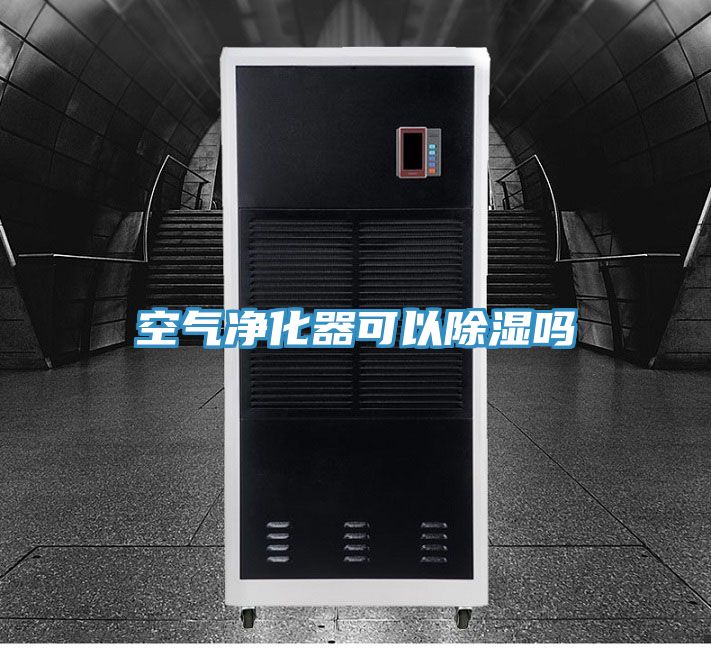 空氣凈化器可以除濕嗎