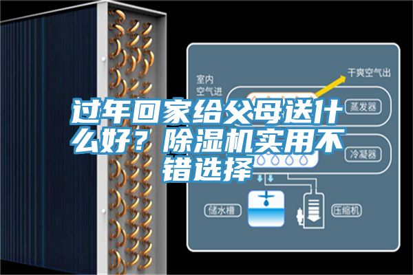 過年回家給父母送什么好？除濕機(jī)實用不錯選擇