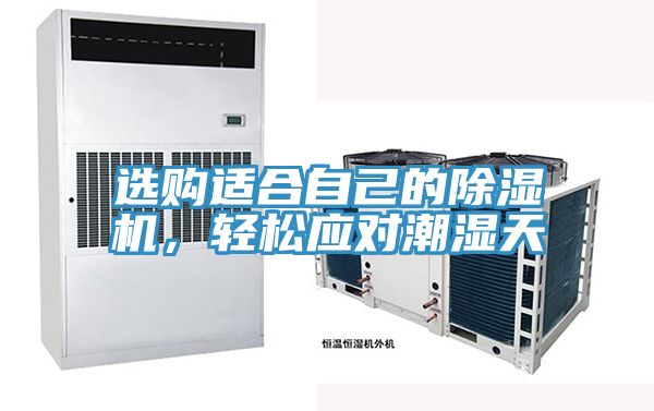 選購適合自己的除濕機,輕松應(yīng)對潮濕天