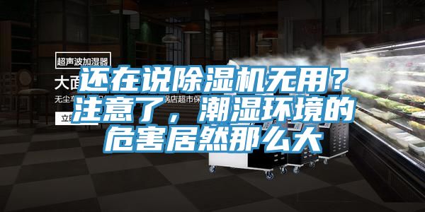 還在說(shuō)除濕機(jī)無(wú)用？注意了，潮濕環(huán)境的危害居然那么大