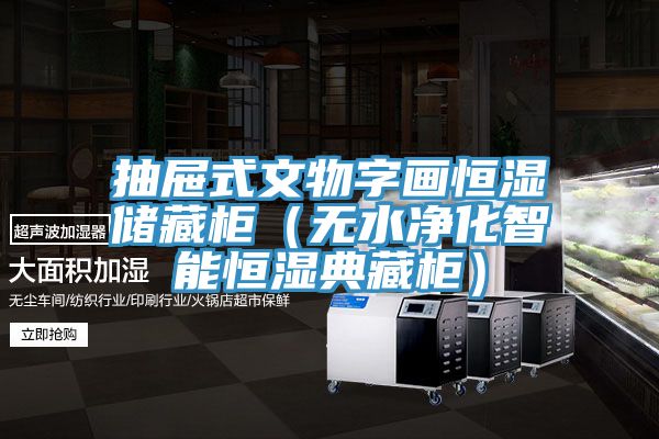 抽屜式文物字畫恒濕儲藏柜(無水凈化智能恒濕典藏柜)