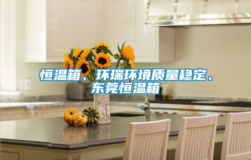 恒溫箱、環(huán)瑞環(huán)境質(zhì)量穩(wěn)定、東莞恒溫箱