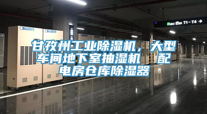甘孜州工業除濕機,大型車間地下室抽濕機 配電房倉庫除濕器