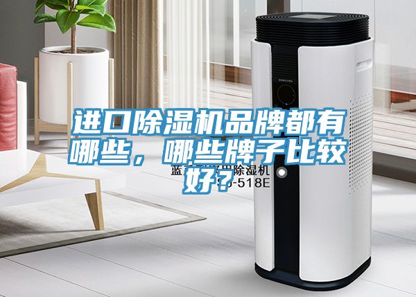 進口除濕機品牌都有哪些,哪些牌子比較好?