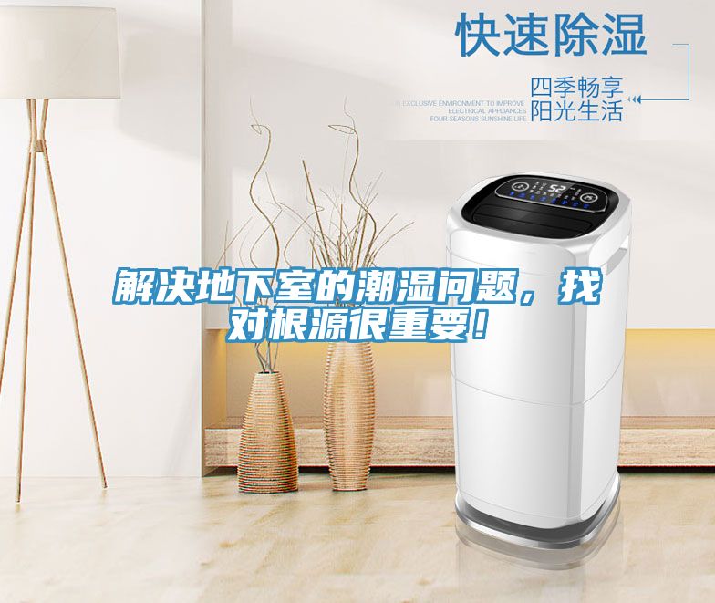 解決地下室的潮濕問題，找對根源很重要！
