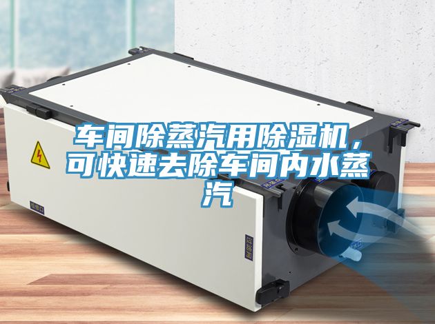 車間除蒸汽用除濕機(jī),可快速去除車間內(nèi)水蒸汽