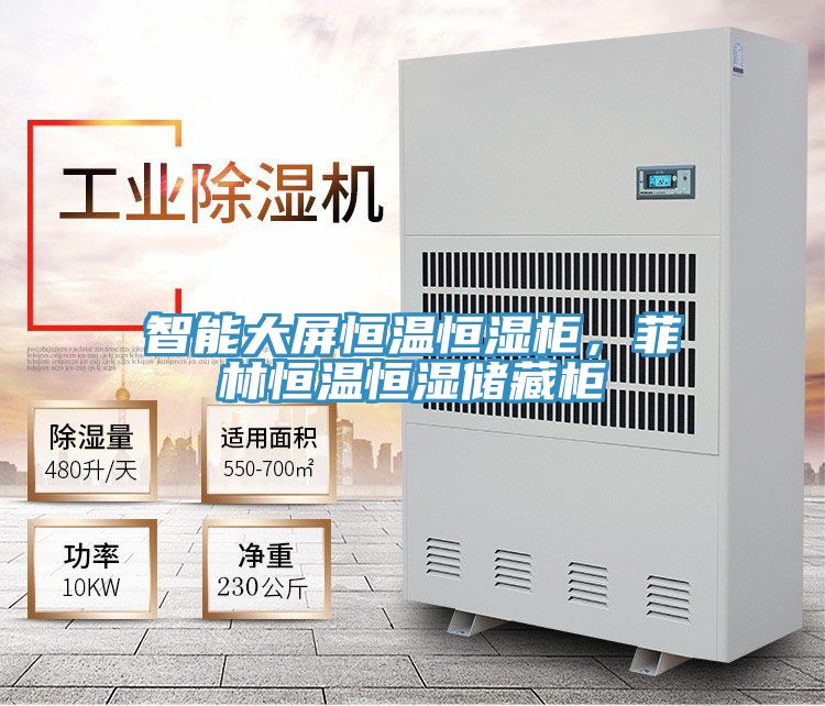 智能大屏恒溫恒濕柜，菲林恒溫恒濕儲藏柜