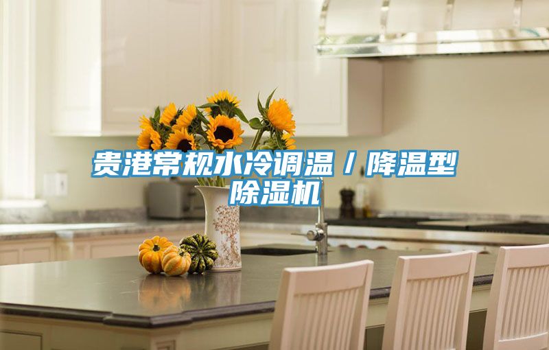 貴港常規(guī)水冷調溫/降溫型除濕機