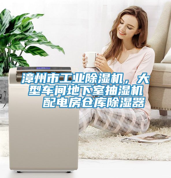 漳州市工業(yè)除濕機(jī)，大型車間地下室抽濕機(jī)  配電房倉庫除濕器