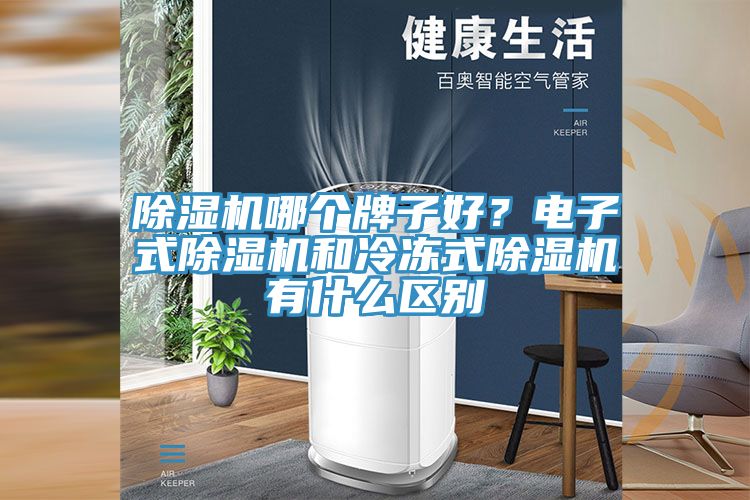 除濕機哪個牌子好？電子式除濕機和冷凍式除濕機有什么區別