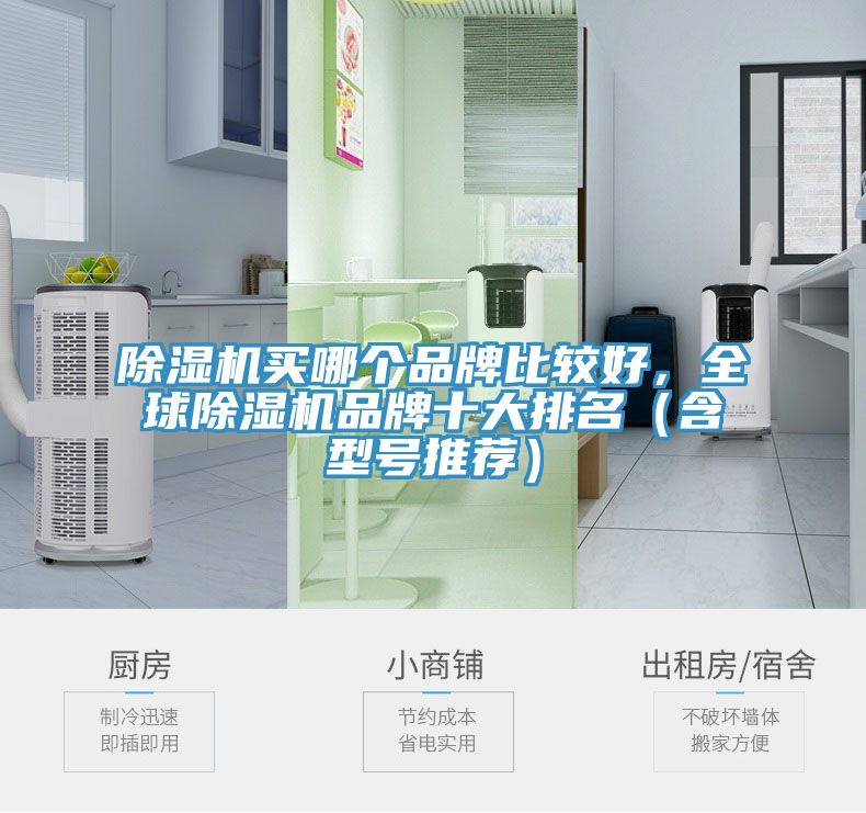 除濕機買哪個品牌比較好，全球除濕機品牌十大排名（含型號推薦）
