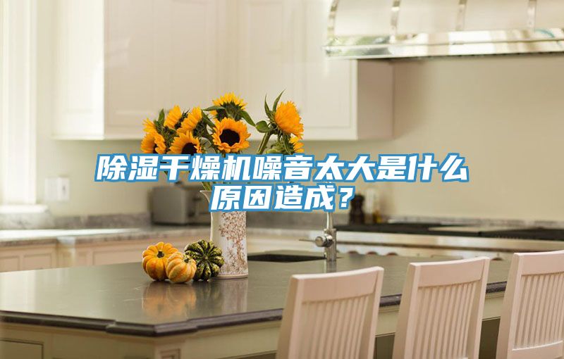 除濕干燥機噪音太大是什么原因造成?