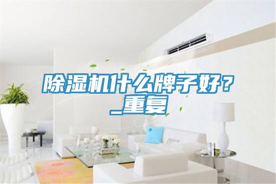 除濕機什么牌子好?_重復