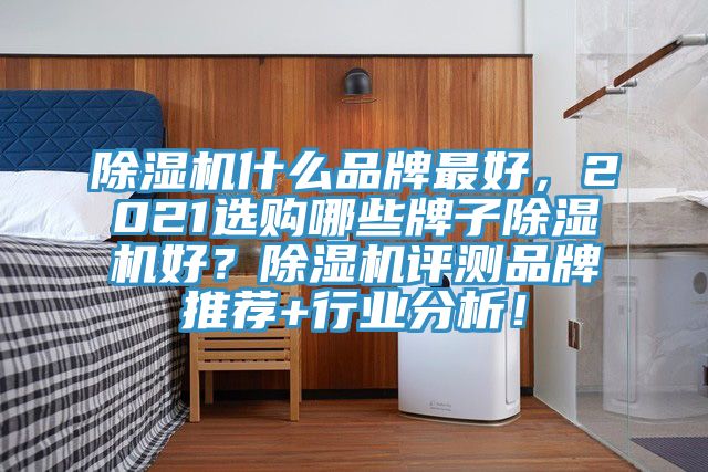 除濕機什么品牌最好,2021選購哪些牌子除濕機好?除濕機評測品牌推薦+行業分析!