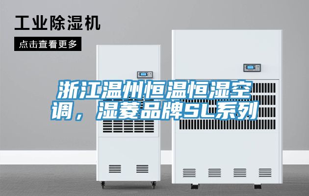 浙江溫州恒溫恒濕空調,濕菱品牌SL系列