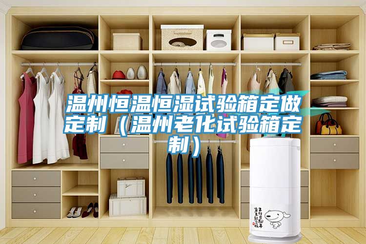 溫州恒溫恒濕試驗(yàn)箱定做定制(溫州老化試驗(yàn)箱定制)