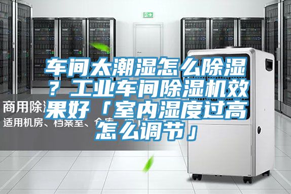 車間太潮濕怎么除濕？工業(yè)車間除濕機效果好「室內濕度過高怎么調節(jié)」