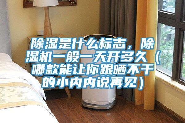 除濕是什么標(biāo)志,除濕機一般一天開多久(哪款能讓你跟曬不干的小內(nèi)內(nèi)說再見)