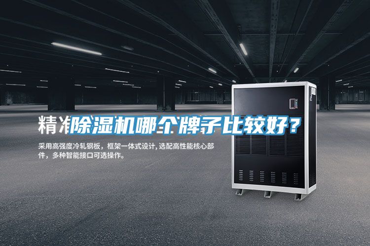 除濕機哪個牌子比較好?