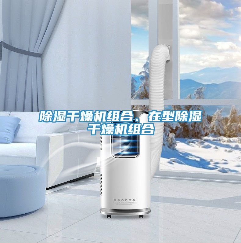 除濕干燥機組合、在型除濕干燥機組合