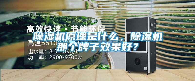 除濕機原理是什么,除濕機那個牌子效果好?