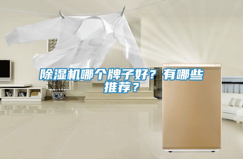 除濕機哪個牌子好？有哪些推薦？