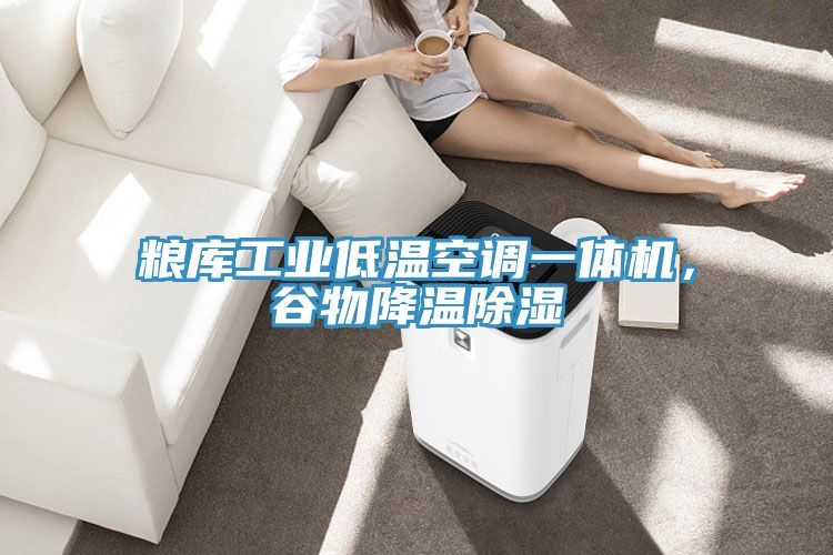 糧庫(kù)工業(yè)低溫空調(diào)一體機(jī),谷物降溫除濕