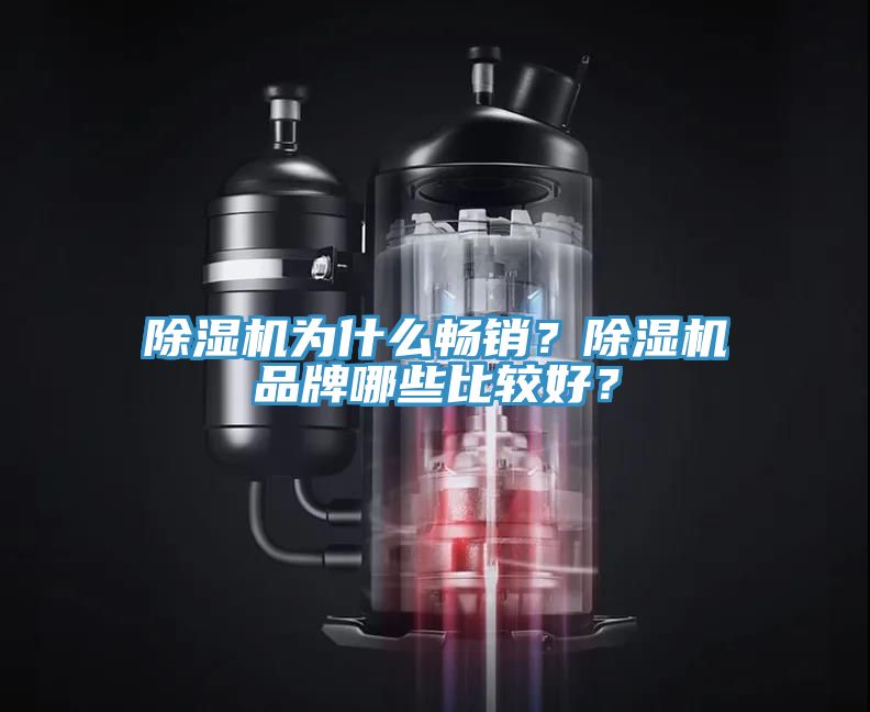 除濕機為什么暢銷？除濕機品牌哪些比較好？