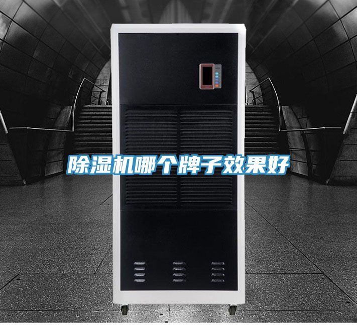 除濕機哪個牌子效果好