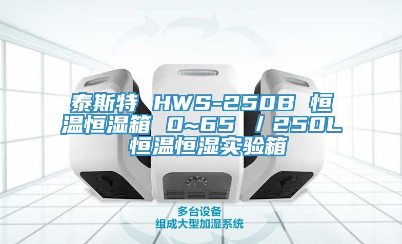 泰斯特 HWS-250B 恒溫恒濕箱 0~65℃/250L 恒溫恒濕實驗箱