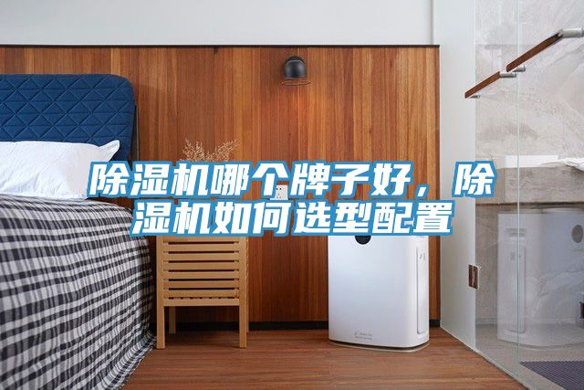 除濕機哪個牌子好，除濕機如何選型配置