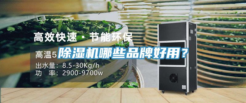 除濕機哪些品牌好用？