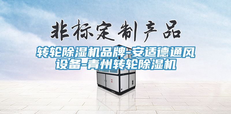 轉(zhuǎn)輪除濕機品牌-安適德通風(fēng)設(shè)備-青州轉(zhuǎn)輪除濕機