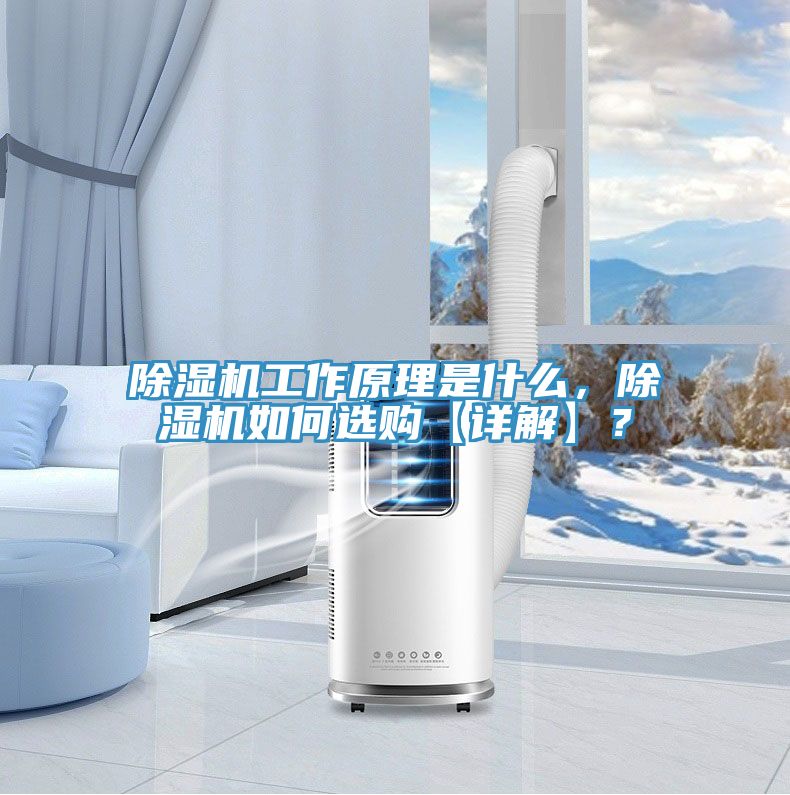 除濕機工作原理是什么,除濕機如何選購【詳解】?