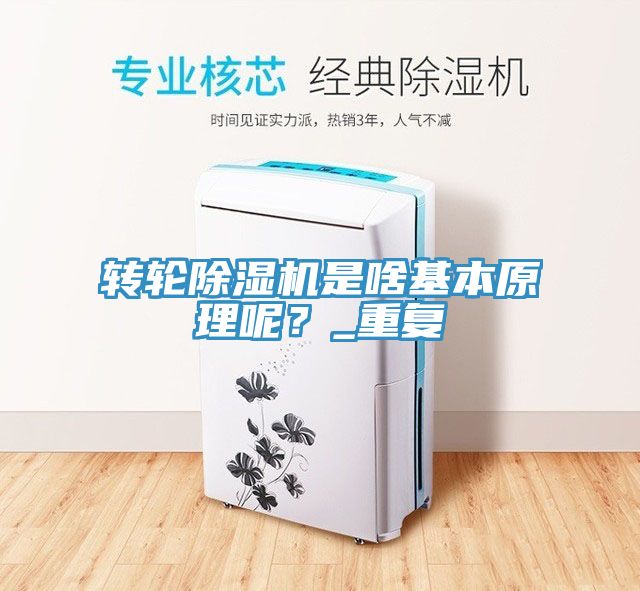 轉輪除濕機是啥基本原理呢？_重復