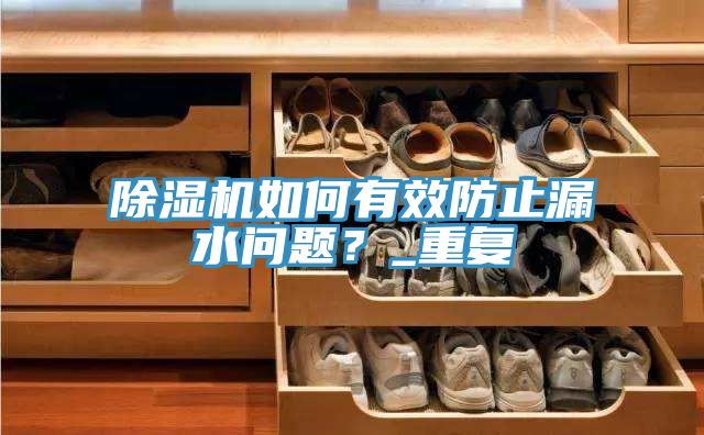 除濕機如何有效防止漏水問題？_重復
