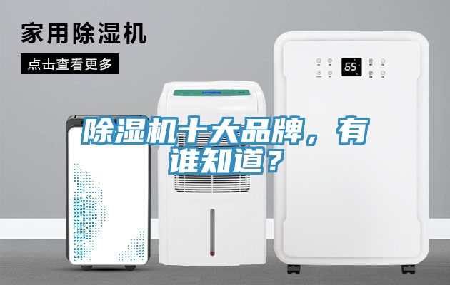 除濕機十大品牌,有誰知道?