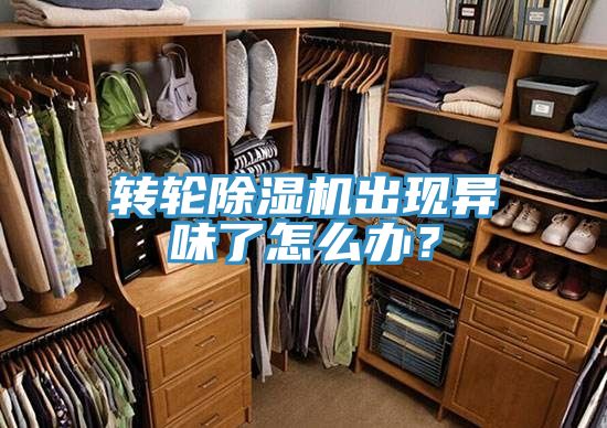 轉(zhuǎn)輪除濕機(jī)出現(xiàn)異味了怎么辦?
