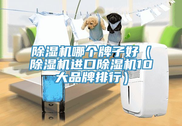 除濕機哪個牌子好(除濕機進口除濕機10大品牌排行)