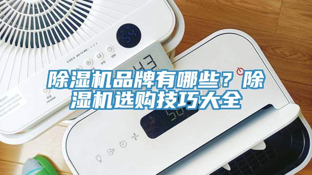 除濕機(jī)品牌有哪些?除濕機(jī)選購技巧大全
